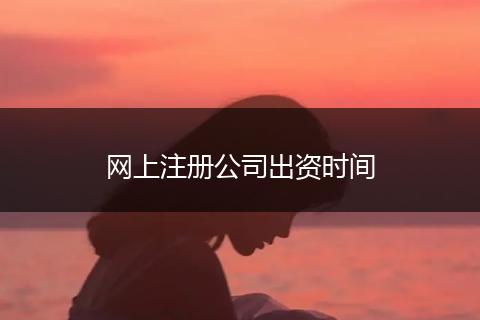 网上注册公司出资时间
