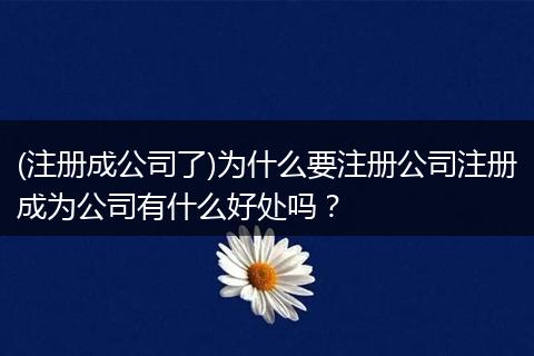 (注册成公司了)为什么要注册公司注册成为公司有什么好处吗?