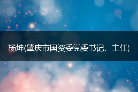 杨坤(肇庆市国资委党委书记、主任)