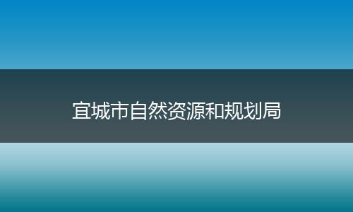 宜城市自然资源和规划局