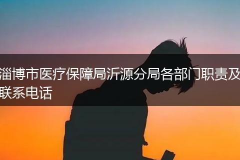 淄博市医疗保障局沂源分局各部门职责及联系电话