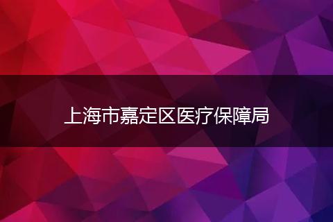 上海市嘉定区医疗保障局