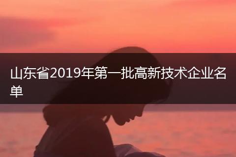山东省2019年第一批高新技术企业名单