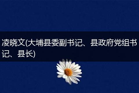 凌晓文(大埔县委副书记、县政府党组书记、县长)
