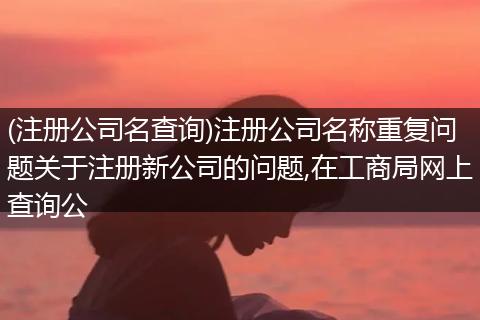 (注册公司名查询)注册公司名称重复问题关于注册新公司的问题,在工商局网上查询公