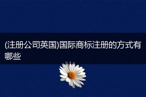 (注册公司英国)国际商标注册的方式有哪些