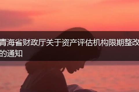 青海省财政厅关于资产评估机构限期整改的通知