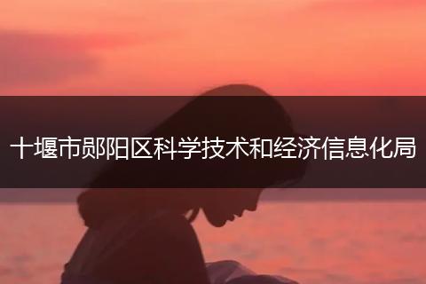 十堰市郧阳区科学技术和经济信息化局
