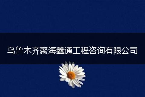 乌鲁木齐聚海鑫通工程咨询有限公司
