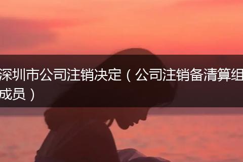 深圳市公司注销决定（公司注销备清算组成员）