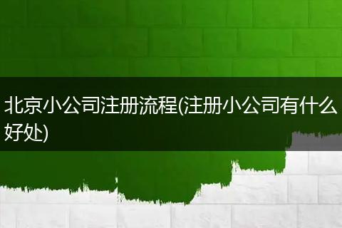 北京小公司注册流程(注册小公司有什么好处)