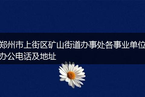 郑州市上街区矿山街道办事处各事业单位办公电话及地址