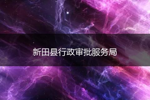 新田县行政审批服务局