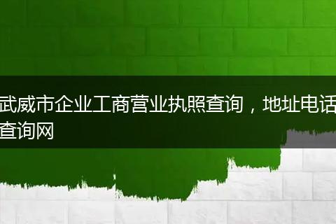 武威市企业工商营业执照查询，地址电话查询网