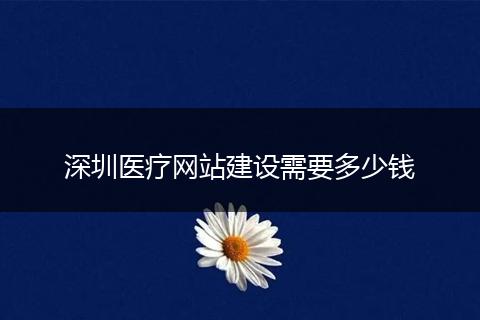 深圳医疗网站建设需要多少钱