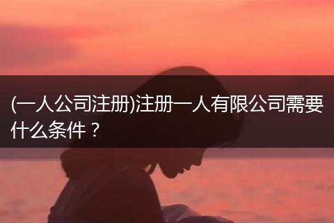 (一人公司注册)注册一人有限公司需要什么条件?