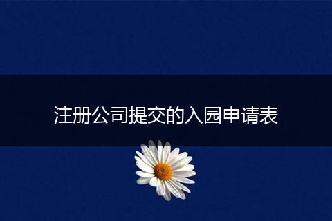 注册公司提交的入园申请表