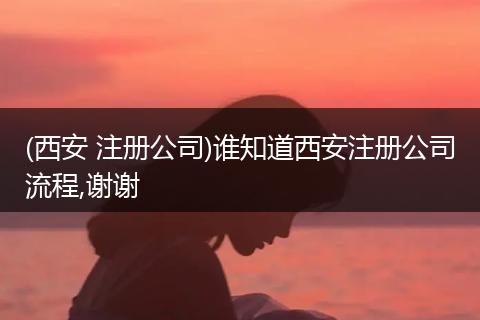 (西安 注册公司)谁知道西安注册公司流程,谢谢