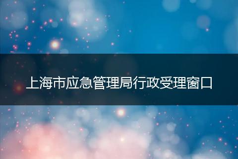 上海市应急管理局行政受理窗口