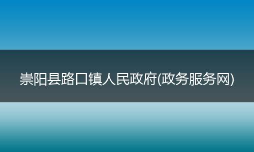 崇阳县路口镇人民政府(政务服务网)