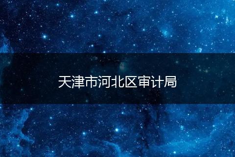 天津市河北区审计局