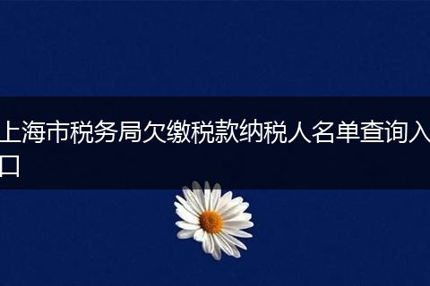 上海市税务局欠缴税款纳税人名单查询入口