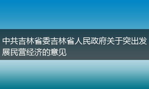 中共吉林省委吉林省人民政府关于突出发展民营经济的意见