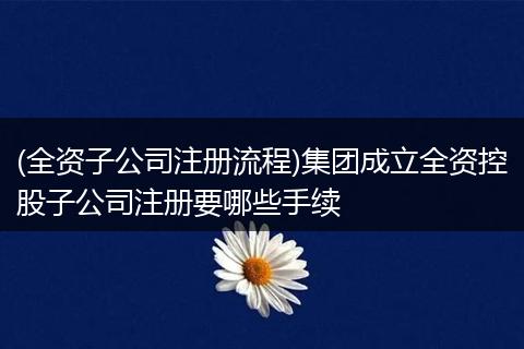(全资子公司注册流程)集团成立全资控股子公司注册要哪些手续