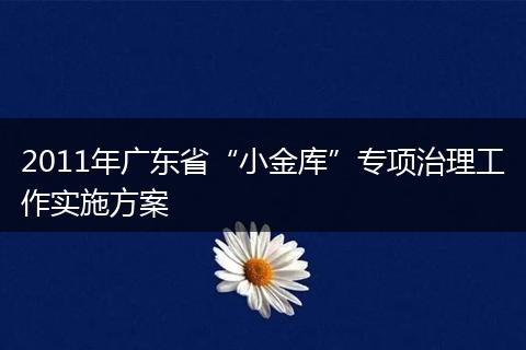 2011年广东省“小金库”专项治理工作实施方案