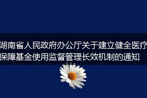 湖南省人民政府办公厅关于建立健全医疗保障基金使用监督管理长效机制的通知