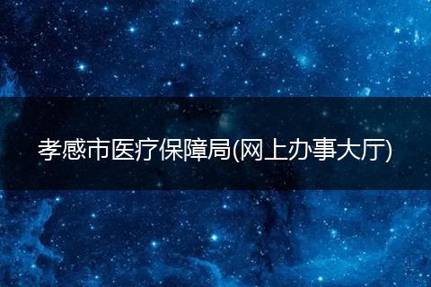孝感市医疗保障局(网上办事大厅)