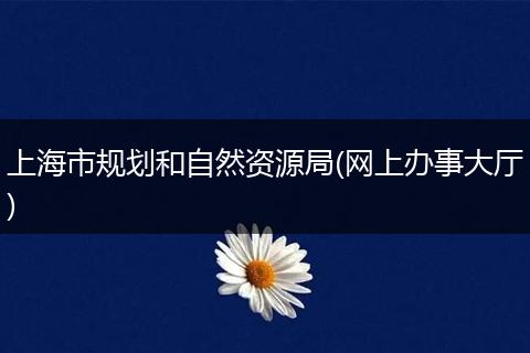 上海市规划和自然资源局(网上办事大厅)