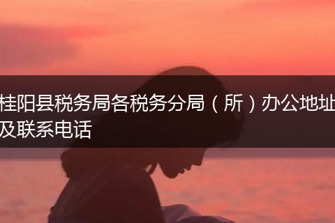 桂阳县税务局各税务分局(所)办公地址及联系电话