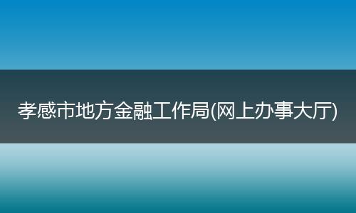 孝感市地方金融工作局(网上办事大厅)