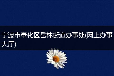 宁波市奉化区岳林街道办事处(网上办事大厅)