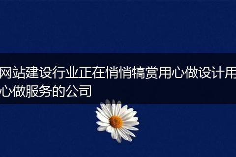 网站建设行业正在悄悄犒赏用心做设计用心做服务的公司