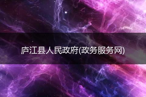 庐江县人民政府(政务服务网)