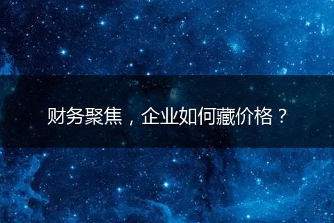 财务聚焦,企业如何藏价格?