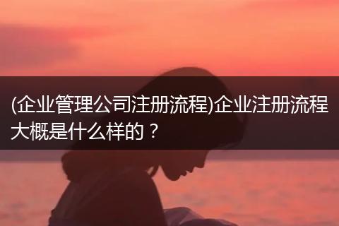 (企业管理公司注册流程)企业注册流程大概是什么样的？