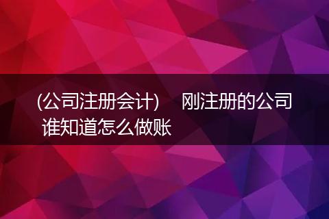 (公司注册会计) 刚注册的公司 谁知道怎么做账