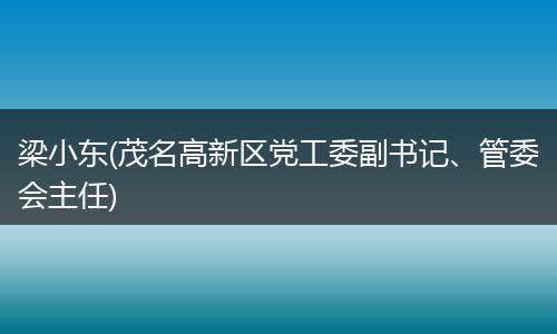 梁小东(茂名高新区党工委副书记、管委会主任)