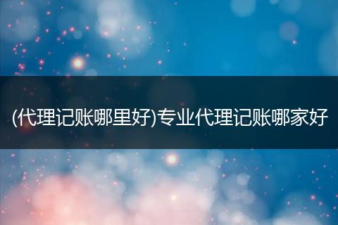 (代理记账哪里好)专业代理记账哪家好