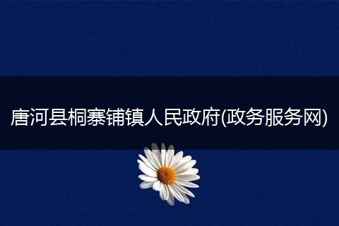唐河县桐寨铺镇人民政府(政务服务网)
