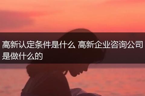 高新认定条件是什么 高新企业咨询公司是做什么的
