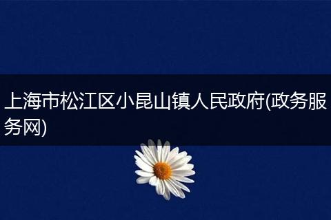 上海市松江区小昆山镇人民政府(政务服务网)