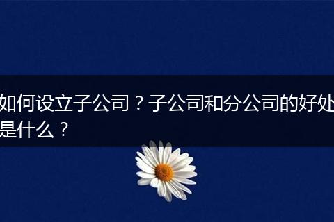 如何设立子公司?子公司和分公司的好处是什么?