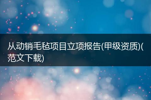 从动销毛毡项目立项报告(甲级资质)(范文下载)