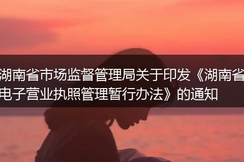 湖南省市场监督管理局关于印发《湖南省电子营业执照管理暂行办法》的通知