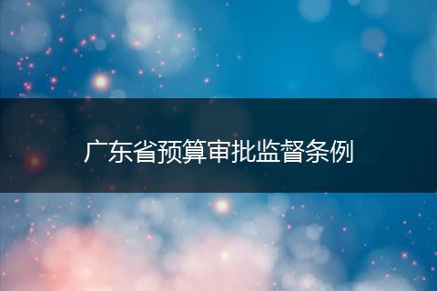 广东省预算审批监督条例