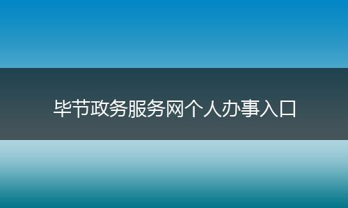 毕节政务服务网个人办事入口